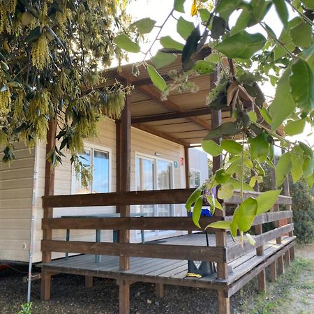 Camping Internazionale Di Castelfusano Lido di Ostia Exterior photo
